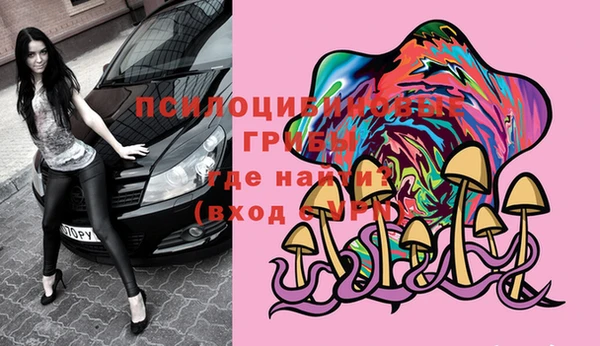 таблы Козловка