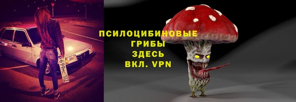 таблы Козловка
