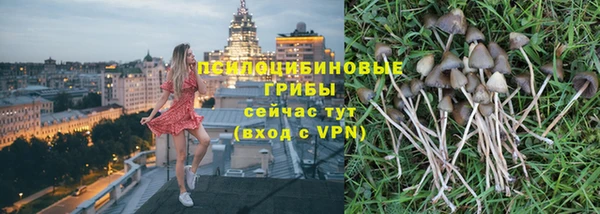 таблы Козловка