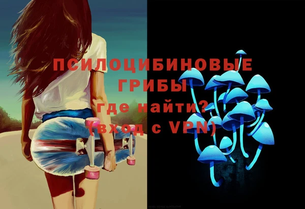 таблы Козловка