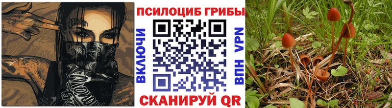 Купить где  Кулебаки  Галлюциногенные грибы Cubensis 